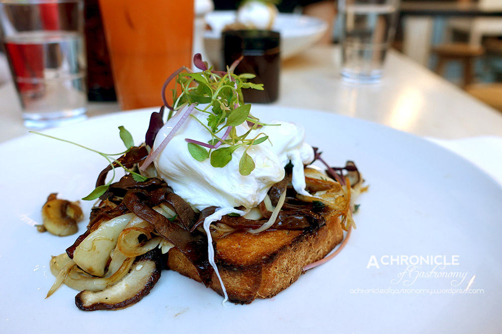 Patch - Wild Mushrooms - Shiitake, Woodear, Oyster Mushrooms, Thyme, Truffle Oil, Poached Eggs, Paleo Toast ($19)