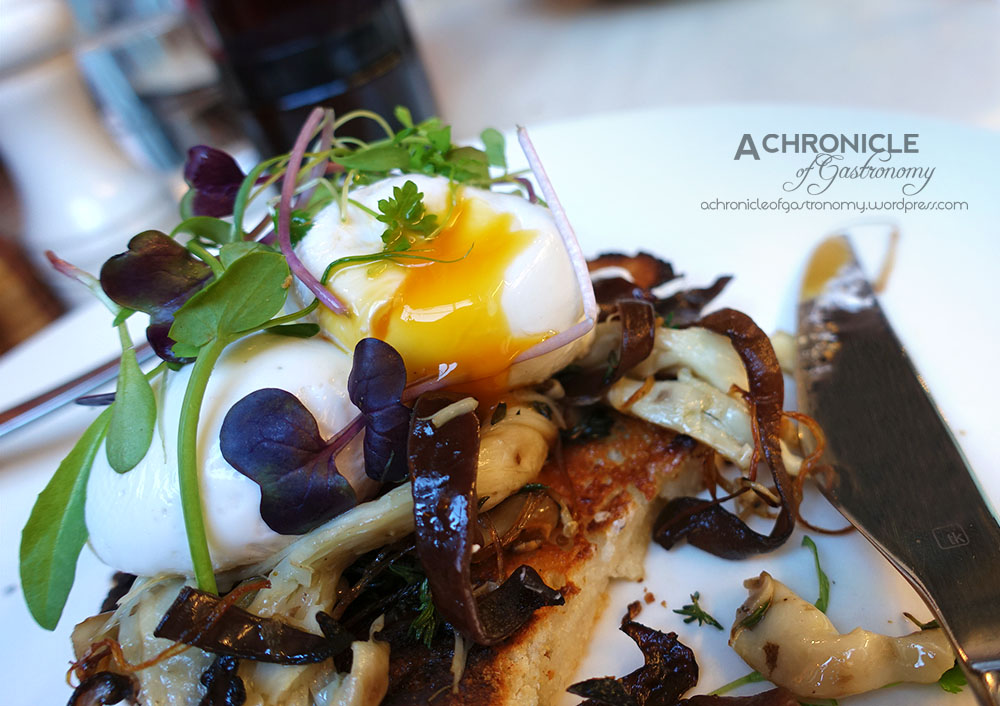 Patch - Wild Mushrooms - Shiitake, Woodear, Oyster Mushrooms, Thyme, Truffle Oil, Poached Eggs, Paleo Toast ($19)