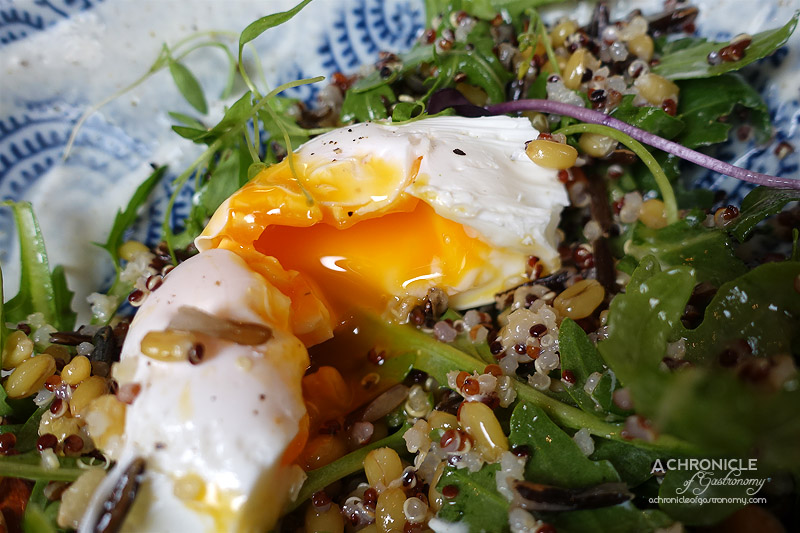 Touchwood - Morning Grain Salad - Quinoa, Freekeh, Wild Rice, Rocket, Toasted Almonds, Chai Soaked Raisins, Cumin Yoghurt, Poached Egg $16