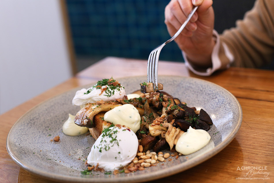 Two Birds One Stone - Sauteed mushrooms on brioche with whipped goats cheese cream, roasted pine nuts and two poached eggs ($20)