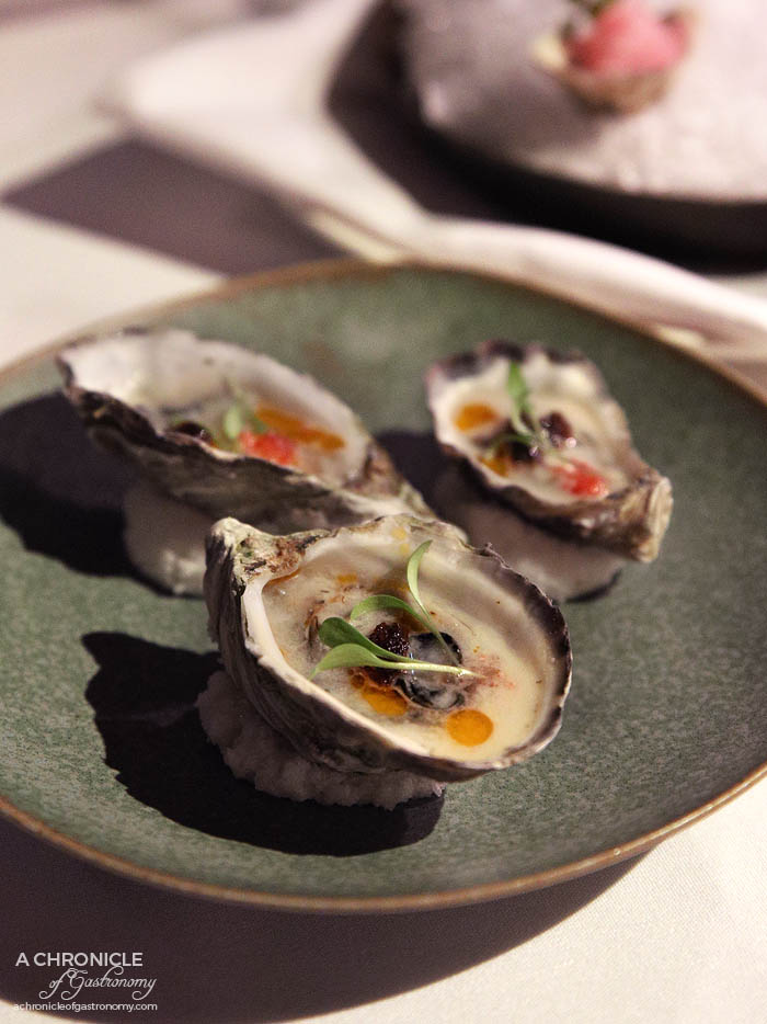 Steer Dining - Baked oysters, coconut broth, chilli jam, finger lime ($4,50 ea) Freshly shucked oysters, shiso, yuzu granita ($4.50 ea)